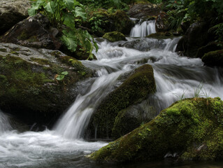 Obraz premium Waterfall