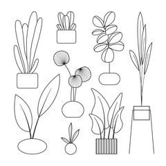 Potted plants set. Interior houseplants in planters, baskets, flowerpots. Home indoor green decor. Different succulents, foliage. Outline, line art graphic vector isolated on background