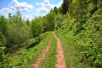 A dirt road in the mountain with green forest and blue sky and clouds on background  