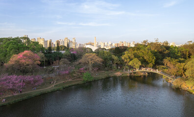 Obraz premium Parque Ibirapuera