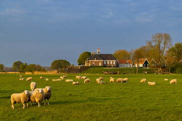 Former island of Schokland, UNESCO World Heritage Site, Netherlands