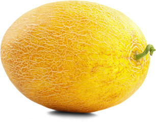 Fresh ripe sweet yellow melon