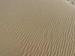 Feiner Sand in Wellenmuster geweht