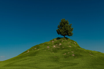 a lone tree on a hill under a blue sky,3D illustration.