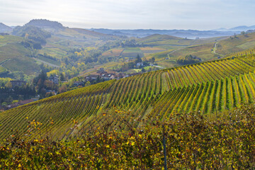 Fototapeta na wymiar autumnal vineyards, Piedmont, Italy