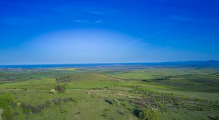 Planted green field in early spring with clear horizon and countryside aerial view