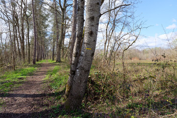 Country path in the plain of Sorques. Île-de-France region	