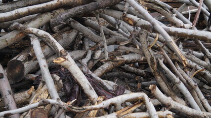 garden natural backgrounds