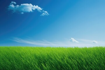 Fototapeta na wymiar vast green field under a clear blue sky. Generative AI