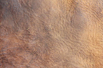 brown background with leather texture