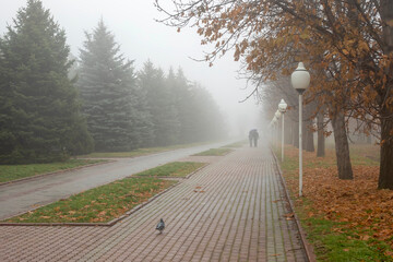 Back View of couple under umbrella walking down the rainy park in autumn evening