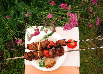 Summer picnic on the grass. Healthy food on the nature. Vegetables and meat for a healthy lunch.  View from above. Skewers of pork and vegetables.