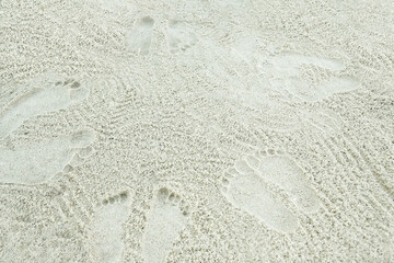 beautiful pattern on the sea sand on nature background