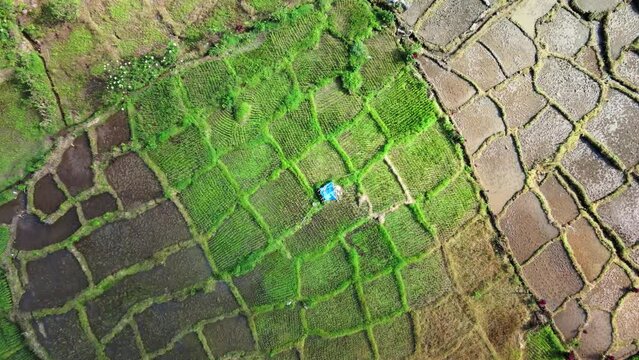 Aerial footage that focused on a small hut in the middle of some fields