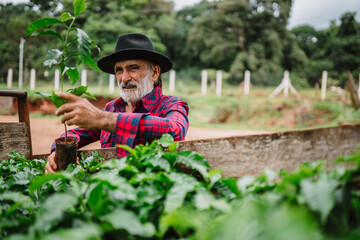 Portrait of Brazilian farmer man in the casual shirt in the farm analyzing coffee seedlings.