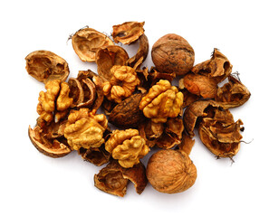 Piles of nuts, shells and kernels.