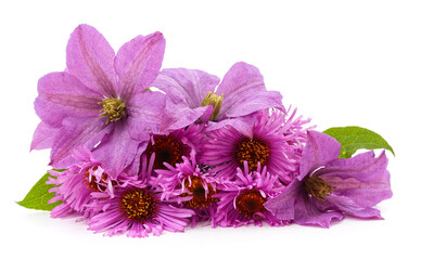 Purple clematis and chrysanthemums with leaves.