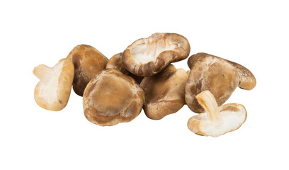 pile of mushrooms with cut out isolated on background transparent