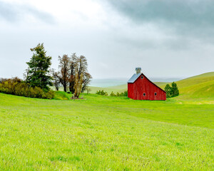 Obraz premium Red barn in the Palouse on a rainy morning