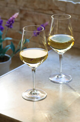 Two glasses of white wine on the kitchen table in front of the window with a purple flower on the back on a sunny day. Close up of a shining glasses of white wine on a table in natural lights