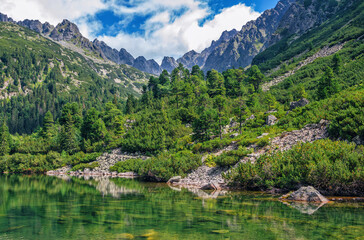 Naklejka na ściany i meble Beautiful summer landscape of High Tatras, Slovakia - Poprad lake, lush forest, reflecting on water surface, mountains and white clouds on the sky