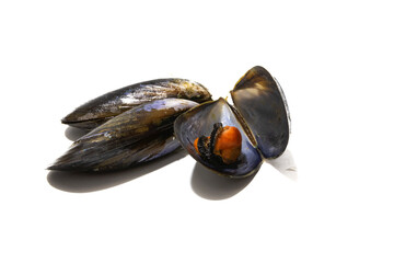 Three mussels isolated on a white background. Mussels are perfect in an endless number of fish recipes, but the simplest and most traditional in Galicia are steamed mussels.