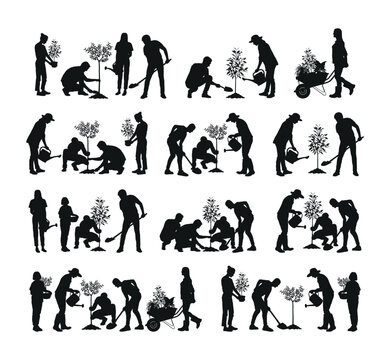 People planting trees outdoor black silhouette set. Digging ground, watering plant, carrying pot, pushing wheelbarrow, gardening activities silhouettes images collection.