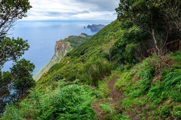 Fototapeta na wymiar Madeira. Hiking trail Vereda Boca do Risco. Steep Cliffs over the Atlantic Ocean. Near Machico and Canical. Madeira Island, Portugal.