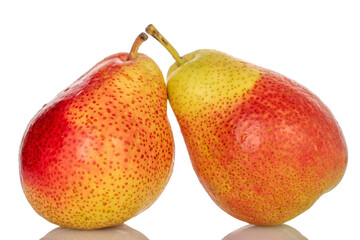 Two whole sweet juicy pears, close-up, on a white background.