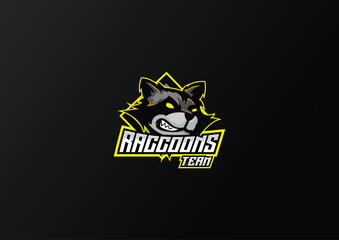 raccoons team logo esport design premium mascot