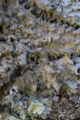 Closeup of an old stone
