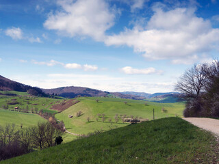 Fototapeta premium Hügellandschaft rund um Olsberg und Schönenberg im Schweizer Kanton Aargau. Kirschbäumen übersät, dazwischen reihen sich Obstanlagen, liegen Felder, grüne Wiesen und Wälder 