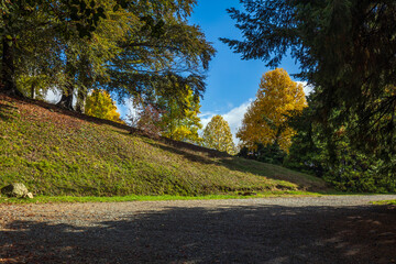 Naklejka premium Il Parco della Burcina in Autunno a Biella in Piemonte