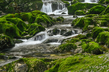 Waterfall in the mountain and rocks covered with moss