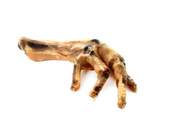 gnawing food for dog