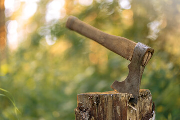 A metal axe with a wooden handle is stuck into a stump in the forest.Chop firewood in summer.Stick the hatchet in. Collecting firewood to light a fire.