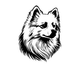 American Eskimo, Silhouettes Dog Face SVG, black and white American Eskimo vector