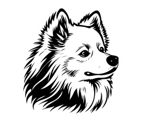American Eskimo, Silhouettes Dog Face SVG, black and white American Eskimo vector