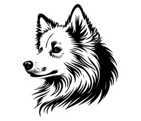 American Eskimo, Silhouettes Dog Face SVG, black and white American Eskimo vector