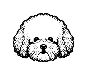 Bichon Frise, Silhouettes Dog Face SVG, black and white Bichon Frise vector