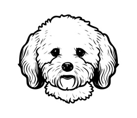 Bichon Frise, Silhouettes Dog Face SVG, black and white Bichon Frise vector