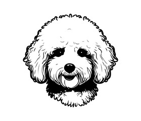 Bichon Frise, Silhouettes Dog Face SVG, black and white Bichon Frise vector