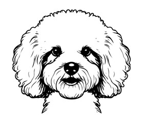 Bichon Frise, Silhouettes Dog Face SVG, black and white Bichon Frise vector