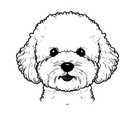 Bichon Frise, Silhouettes Dog Face SVG, black and white Bichon Frise vector
