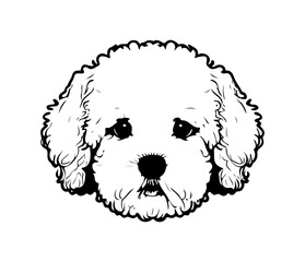 Bichon Frise, Silhouettes Dog Face SVG, black and white Bichon Frise vector