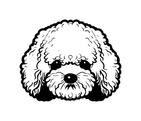 Bichon Frise, Silhouettes Dog Face SVG, black and white Bichon Frise vector