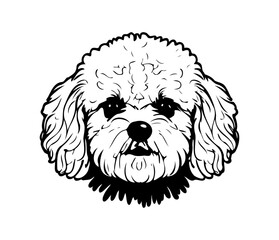 Bichon Frise, Silhouettes Dog Face SVG, black and white Bichon Frise vector