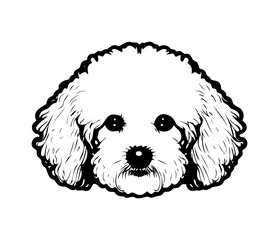 Bichon Frise, Silhouettes Dog Face SVG, black and white Bichon Frise vector