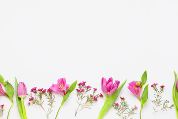 Beautiful pink flowers on white background
