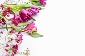 Beautiful pink flowers on white background